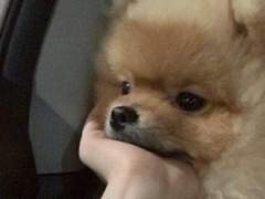 긍데 저 궁금한 거 잇어요