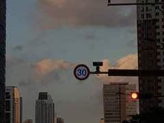 멋대가리없고 맵시있는 사진