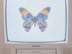 MARIE I. SANDIEGO ; 마리 I. 산디에고