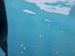 난 상가에서 살았었지