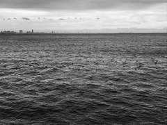 형은 내게 바다가 되고 싶다고 했다