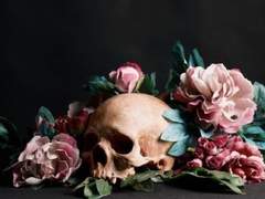 문파이 타입 (10)