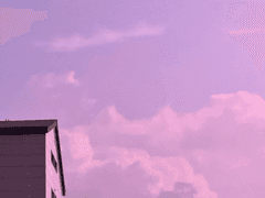 나의 사랑스러운 아이야