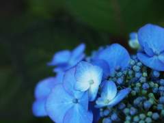 [라하히카] 괜찮아?