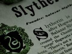 겁쟁이 사자야,