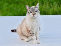 1. 난 이렇게 살아왔는데...