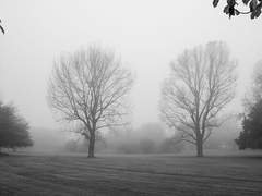 동런 단편 스파이