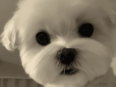 반대가 끌리는 이유 외전 上