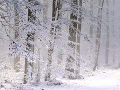 #사계커_프로필