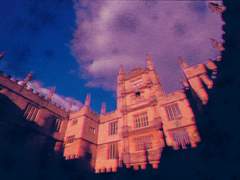 Jaren Rascal / 15 / XY