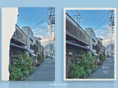 [분양완료] 봄날의 햇살 (121)