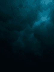 벽 너머의 낙원