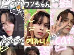 댕자 프리쿠라 커미션