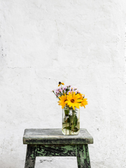 우린 절대 길을 잃지 않고