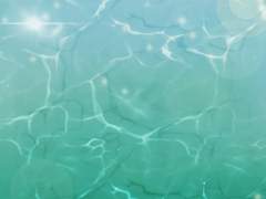 혜성 허니문, 당신과 나