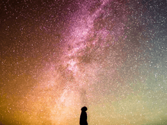 [유진문대/윶문] SWITCH[0]