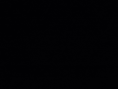 다시 읽는 전독시