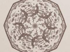 봉황은 다시 태어난다.