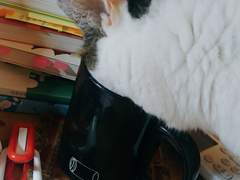 내향인 집사의 글쓰기 5일차