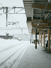 아키히카/ 돌아오는길