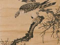 열피리에 붙잡힌 철새 2