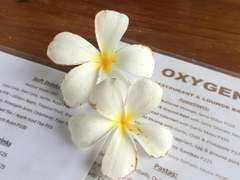 우리가 지구에서 보내는 시간