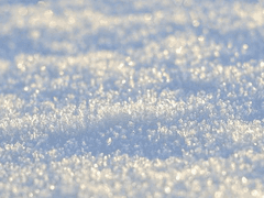 바람의 노래가 들려오기를