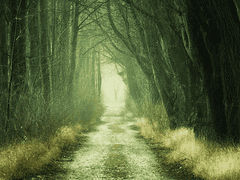 | 제목을 입력하세요.