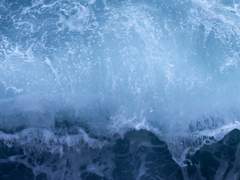 벤자민 필립스 35 화이트