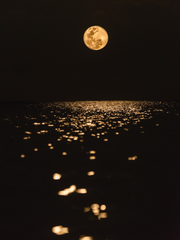 [블리치/이치루키] 진앙영술원