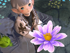 무료 나눔과 관련하여..