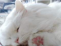 내향인 집사의 글쓰기 6일차