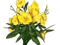 여전히 빛나는 후배님에게,