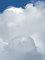 저흰 탐정이며 남매입니다..!