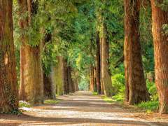 𝑳𝒊𝒇𝒆 𝒎𝒖𝒔𝒕 𝒃𝒆 𝒉𝒐𝒏𝒆𝒔𝒕 𝒂𝒏𝒅 𝒍𝒊𝒗𝒆 𝒓𝒊𝒈𝒉𝒕