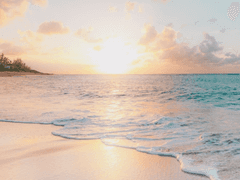 동인지 커미션 공지(신청X)