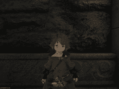 파판14 단독스샷