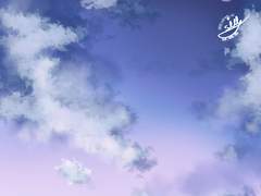 보랏빛 하늘, 별빛 🌟