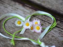 (닌자고)첫번째 선물