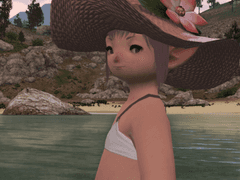 타타루의 마음 정리