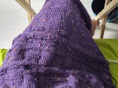 이번주 잘놀았다