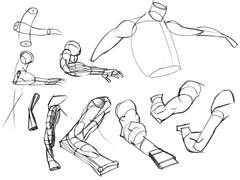 2022년 8월 6일 (토) <해부학>