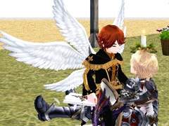 톨비쉬 드림 스샷 백업(1)