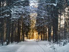 그날, 우리의 세계 프로필