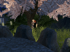 톨비쉬 드림 스샷 백업(2)