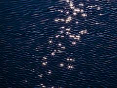 우리는 바다 위의 잔비처럼