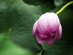 [몽키키드] 허수아비