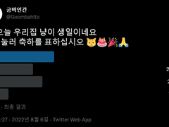 반려냥이탄신일