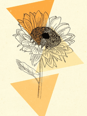 환이뎐: 공주가 돌아왔다.