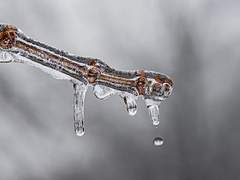 한기가 다정했다